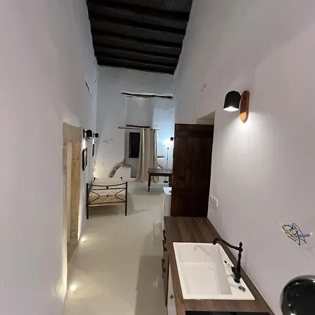 Katharsis - 15th C Venetian Palace - Naxos Old Town Iv 公寓 *