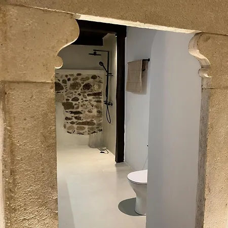 公寓 Katharsis - 15th C Venetian Palace - Naxos Old Town Iv *