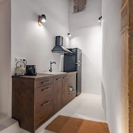 Katharsis - 15th C Venetian Palace - Naxos Old Town Iv 公寓